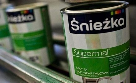 Śnieżka z pozytywną oceną