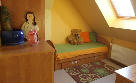 Pół życia w bidulu