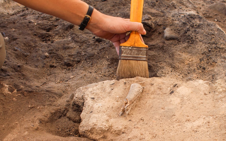 Narzędzia z kości wykonane 1,5 mln lat temu odnaleziono w wąwozie Olduvai w Tanzanii / zdjęcie ilust