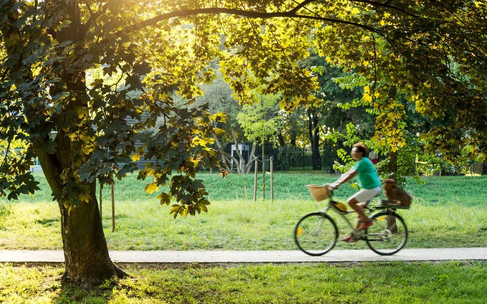 Władze Wrocławia wydadzą w tym roku na urządzenie kilku parków niemal 30 mln złotych