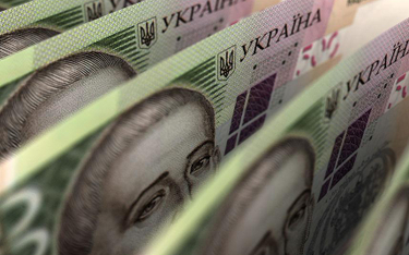 Ukraina na gospodarczym plusie