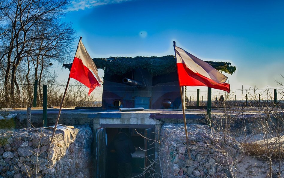 Sojusznicy Polski. "Ja nie wiem, czy choć Węgry nimi są"