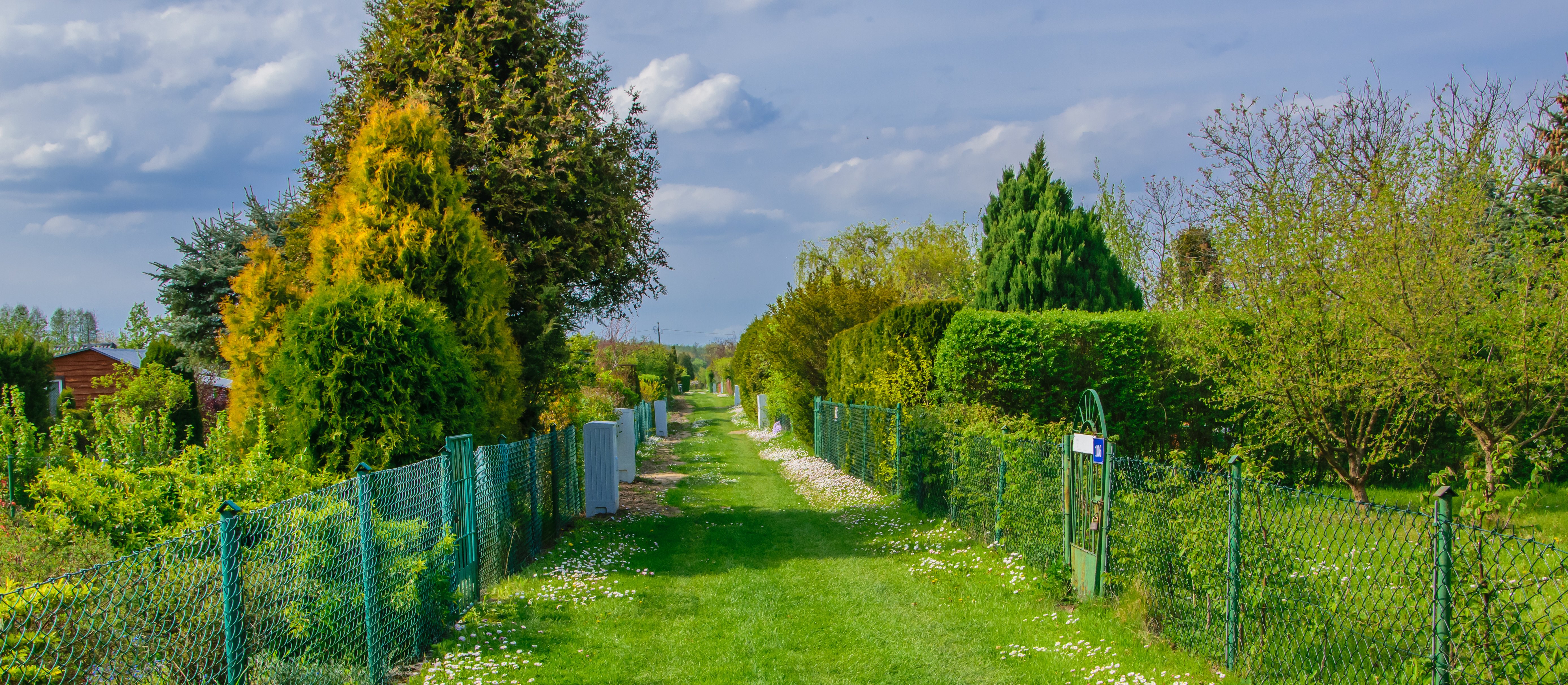 Własna działka w ROD: Jak zostać działkowcem w 2026 roku?