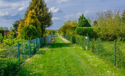 Zostanie działkowcem wymaga przygotowania i dopełnienia formalności