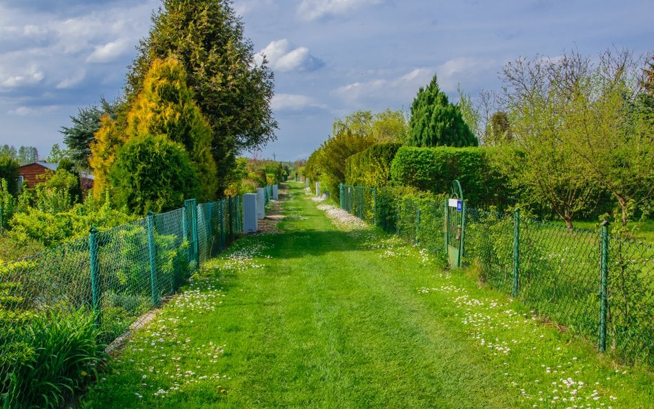 Zostanie działkowcem wymaga przygotowania i dopełnienia formalności