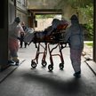 Bartkiewicz: Epidemia ignorancji, pandemia głupoty