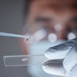 Mówienie o oparciu rozwoju Polski na nauce to pusta obietnica