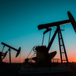IEA: popyt na ropę spadnie w tym roku o 8 procent