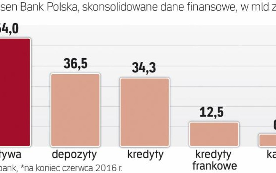 Aktywa banku bez franków to około 42 mld zł