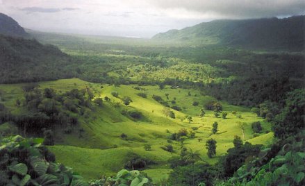 Premier Samoa: Kto zaprzecza zmianom klimatu powinien się leczyć w szpitalu psychiatrycznym