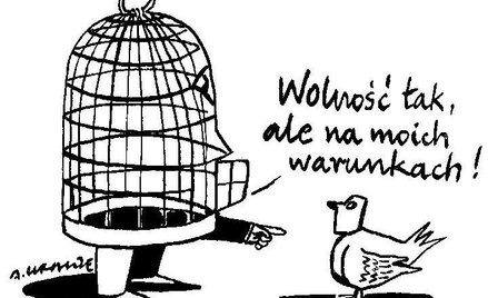 Komentarz rysunkowy