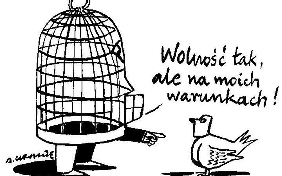 Komentarz rysunkowy