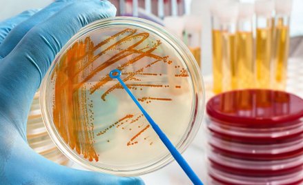 Najpotężniejszy antybiotyk świata dzięki AI