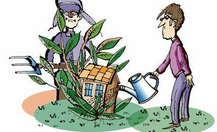 Ochrona prawna odmian roślin: więcej gatunków roślin na większym areale