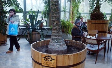 Nowe zasady wyjazdu na uzdrowisk