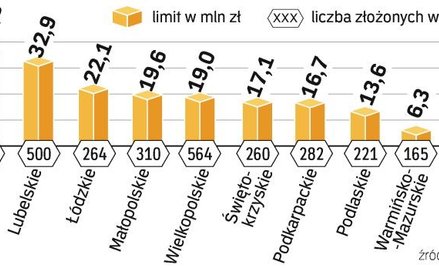 Rolnik z wesołym miasteczkiem