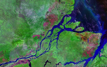 Delta Amazonki. Tej naziemnej