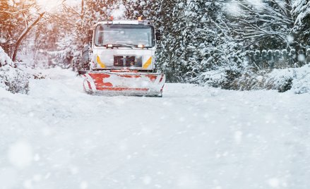 Zasady gospodarowania pojazdami w gminie