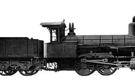 Jedyny kogut na podwórku