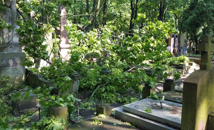 Warszawa: Cmentarz Powązkowski zniszczony po burzach