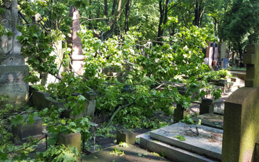 Warszawa: Cmentarz Powązkowski zniszczony po burzach