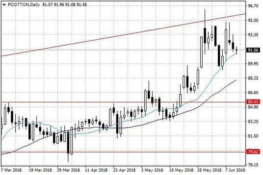 Notowania bawełny w USA – dane dzienne
