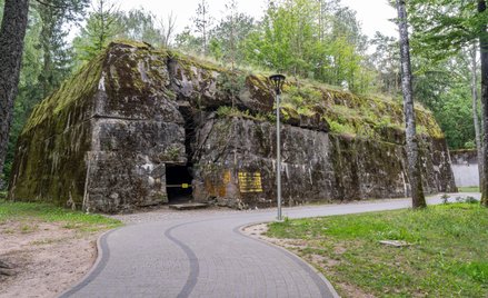 Archeolodzy prowadzą badania w domu Hermanna Göringa w Wilczym Szańcu