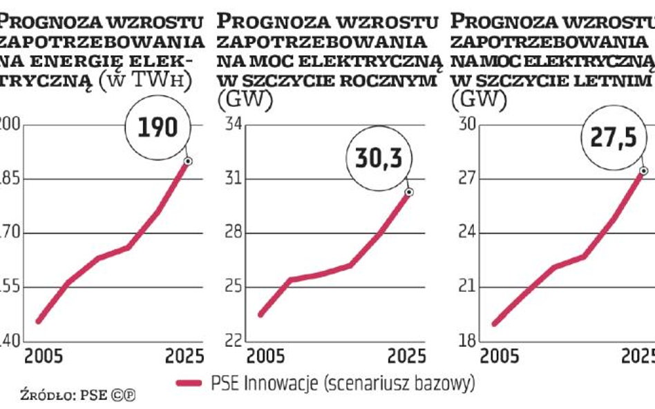 Konieczne są dalsze inwestycje w moce