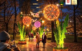 Wizualizacja iluminacji w Parku Świętokrzyskim