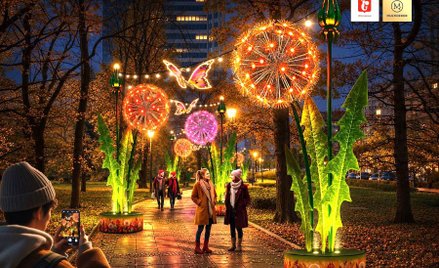 Wizualizacja iluminacji w Parku Świętokrzyskim