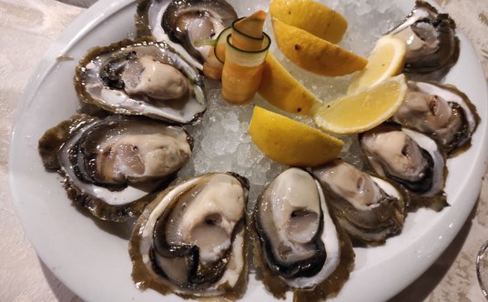 Ston słynie z wybornych ostryg