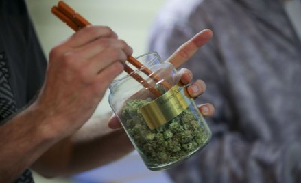 Producent wyrobów z konopi PharmaCann planuje debiut. Popyt na produkty rośnie