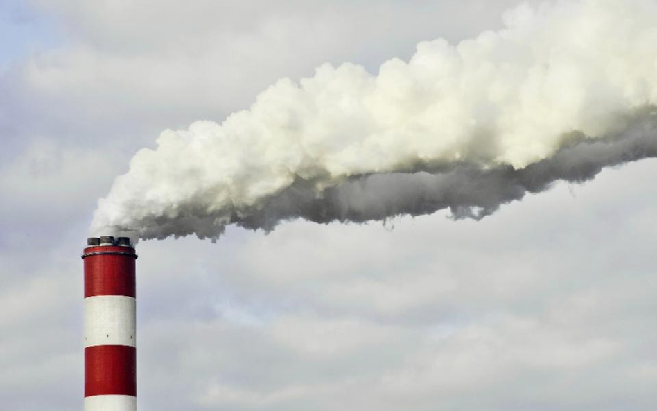 Niemcy przeciwne ingerencji w rynek uprawnień CO2