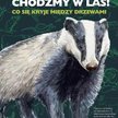 „Chodźmy w las! Co się kryje między drzewami”: Królestwa mrówek i samolubna jemioła
