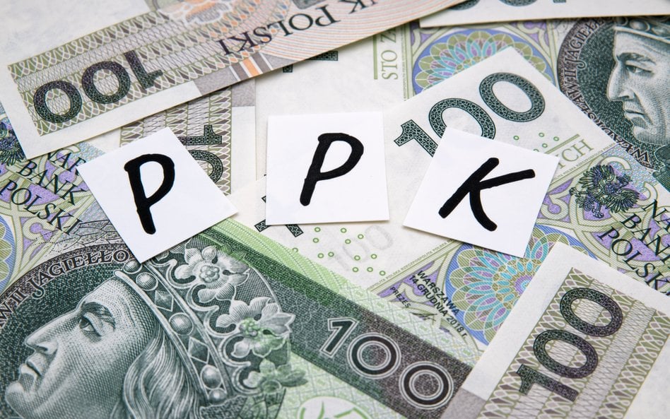Konstrukcja PPK ochroni je przed bessą? Eksperci nie mają wątpliwości