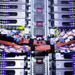 Francuska policja zneutralizowała potężny botnet