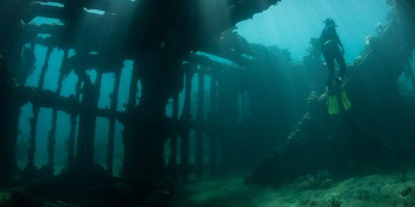 Butelka piwa leżała na dnie kanału La Manche przez 160 lat. Niezwykłe znalezisko