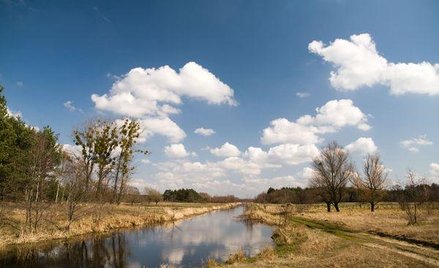 Przywrócenie stanu gruntu