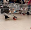 Sprzedaż nieco odreagowała po EURO 2012