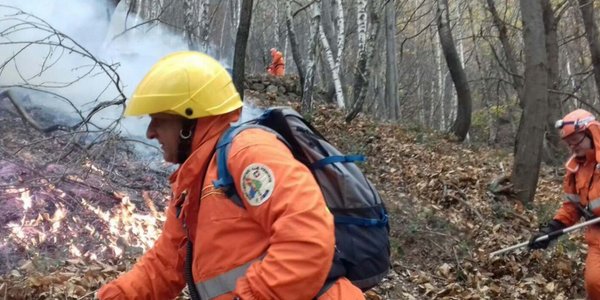 Piedmont Wildfires Destroy 900 Hectares of Forest – Recovery May Take 70 Years