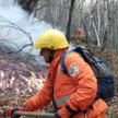 Pożary w Piemoncie zniszczyły około 900 hektarów lasów