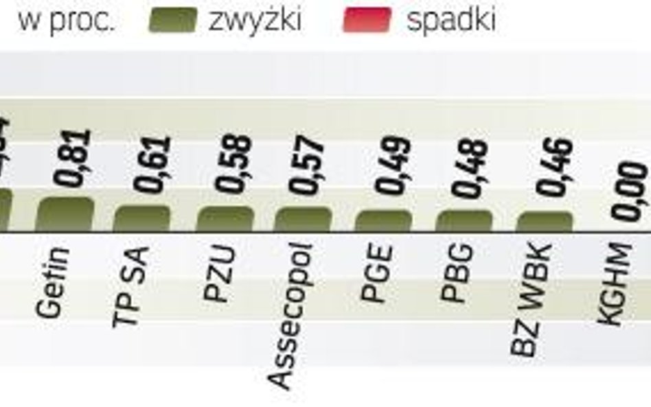 WIG20 dzięki dużym zleceniom kupna zyskał 0,73 proc. Dow Jones pierwszy raz od czerwca 2008 r. pokon