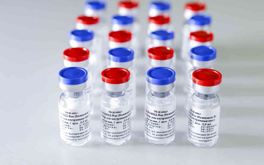 W Brazylii chcą testować rosyjską szczepionkę na COVID-19