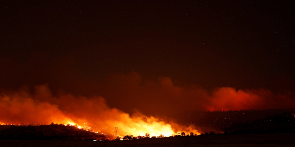 Katastrofalne pożary trawią Kalifornię. Gubernator ogłosił stan wyjątkowy