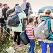 Dariusz Adamski: Gdy rozum śpi, budzą się demony polityki imigracyjnej