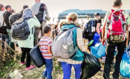 Dariusz Adamski: Gdy rozum śpi, budzą się demony polityki imigracyjnej