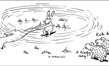 Komentarz rysunkowy. Rok królika