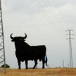 Inwestorzy o perspektywach eurolandu
