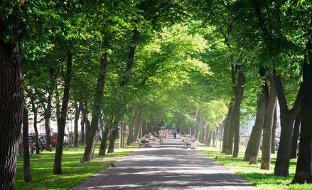 NSA: Gmina nie musi być właścicielem parku, aby nadać mu imię