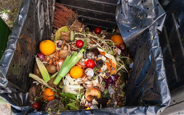 Prawie 5 mln ton żywności do śmieci. Większość wyrzucają konsumenci